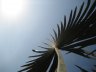 IMG_9383.JPG - 